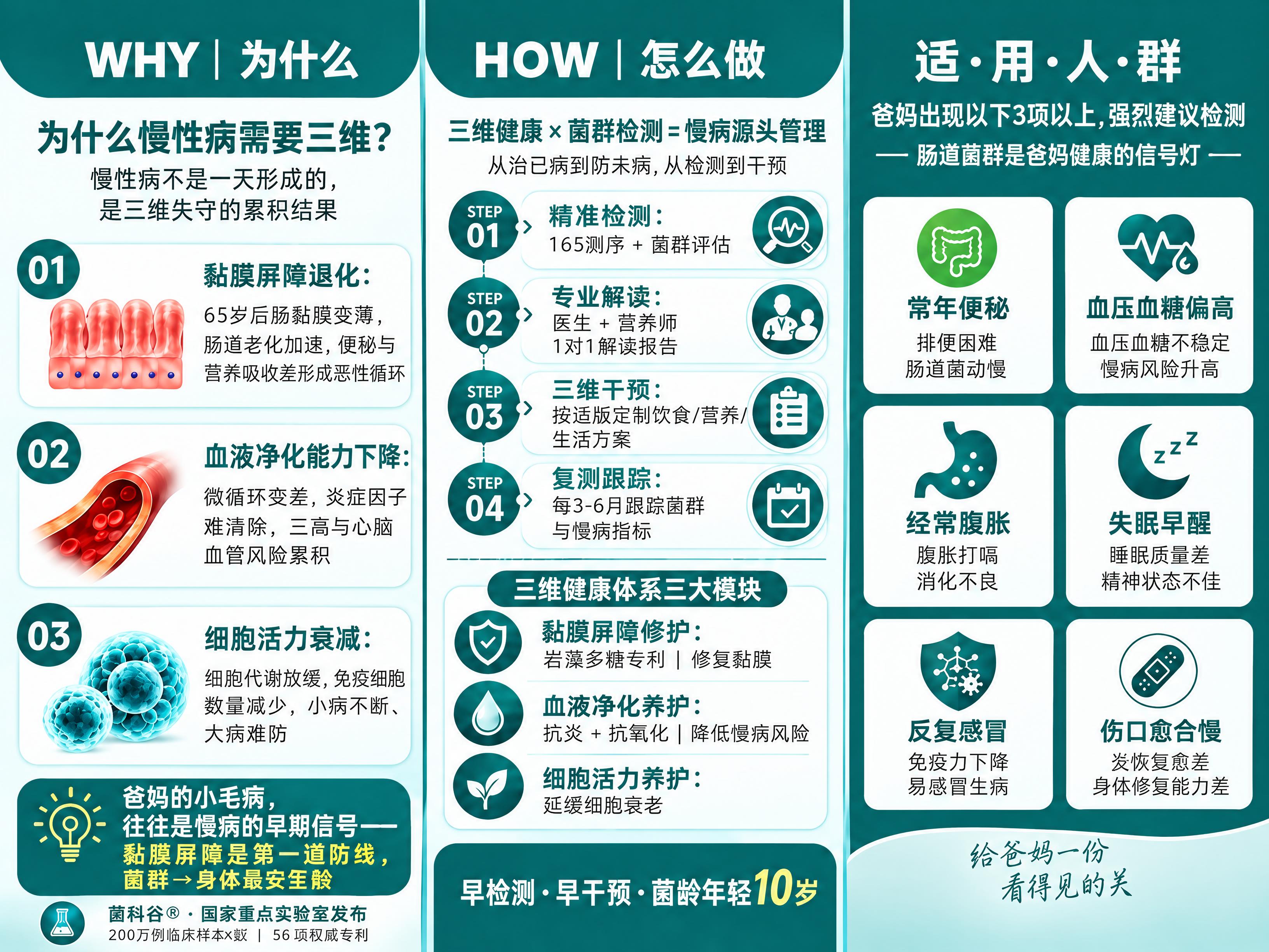 将图1生成高清可印刷版本，A4横版尺寸（297mm×210mm… - 图片创意预览