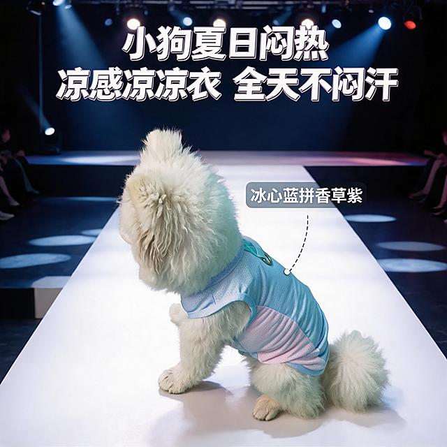 将原图背景替换为模特走秀T台，保留穿凉凉衣的小狗，添加艺术文字标题：“小狗夏日闷热 凉感凉凉衣 全天不闷汗”，在衣服边上标注“冰心蓝拼香芋紫”说明衣服颜色，保持原有小狗和衣服造型不变，整体风格是宠物服装商品展示