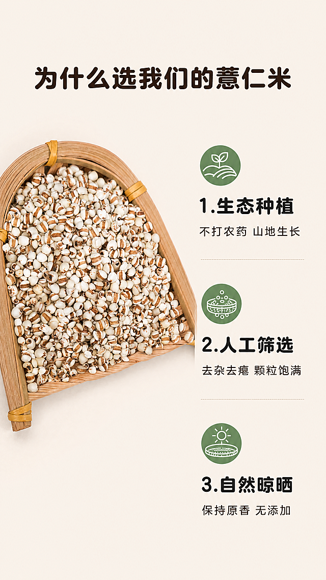 [第6屏] 核心卖点拆解屏-农家薏仁米三大核心优势拆解。
[氛围/风格] 清晰信息排版，真实产品展示，干净简约自然风，商业详情页质感。
[元素布局] 左半部分放置【图1】薏仁米竹编簸箕整体图，保留原产品外观、颜色、纹理结构，右半部分纵向排列三个核心卖点，每个卖点配编号+图标+短说明，左侧产品占比约45%，右侧卖点区占比约50%，背景为暖浅棕统一底色。
[光影质感] 产品区域光影柔和清晰，文字区域背景干净，整体明暗均匀，可读性强。
[配色色系] 全局底色：#F0EAE0（暖浅棕）；主体配色：#FFFFFF（薏仁米白）+#8B5A2B（薏仁棕纹）；辅助色：#5A9155（卖点图标绿）+#1E1E1E（文字深棕）。
[视角构图] 左图右文二分栏构图，均衡稳定，阅读动线从上到下。
[文字版式] 顶部通栏大标题「为什么选我们的薏仁米」，居中深棕色圆角加粗黑体，字号约画面宽度5%。右侧三个卖点依次：
1.「生态种植」 不打农药 山地生长
2.「人工筛选」 去杂去瘪 颗粒饱满
3.「自然晾晒」 保持原香 无添加
每个卖点用圆形绿色图标开头，文字左对齐，行间距适中。全套保持圆角黑体字形、字色仅深棕色，纯色填充字效，风格统一。
[比例分辨率] 9:16竖版比例，4K分辨率，文字清晰可辨，超高清。
[负向提示词] 产品变形，颜色偏差，文字错乱，排版拥挤，绝对化极限词。